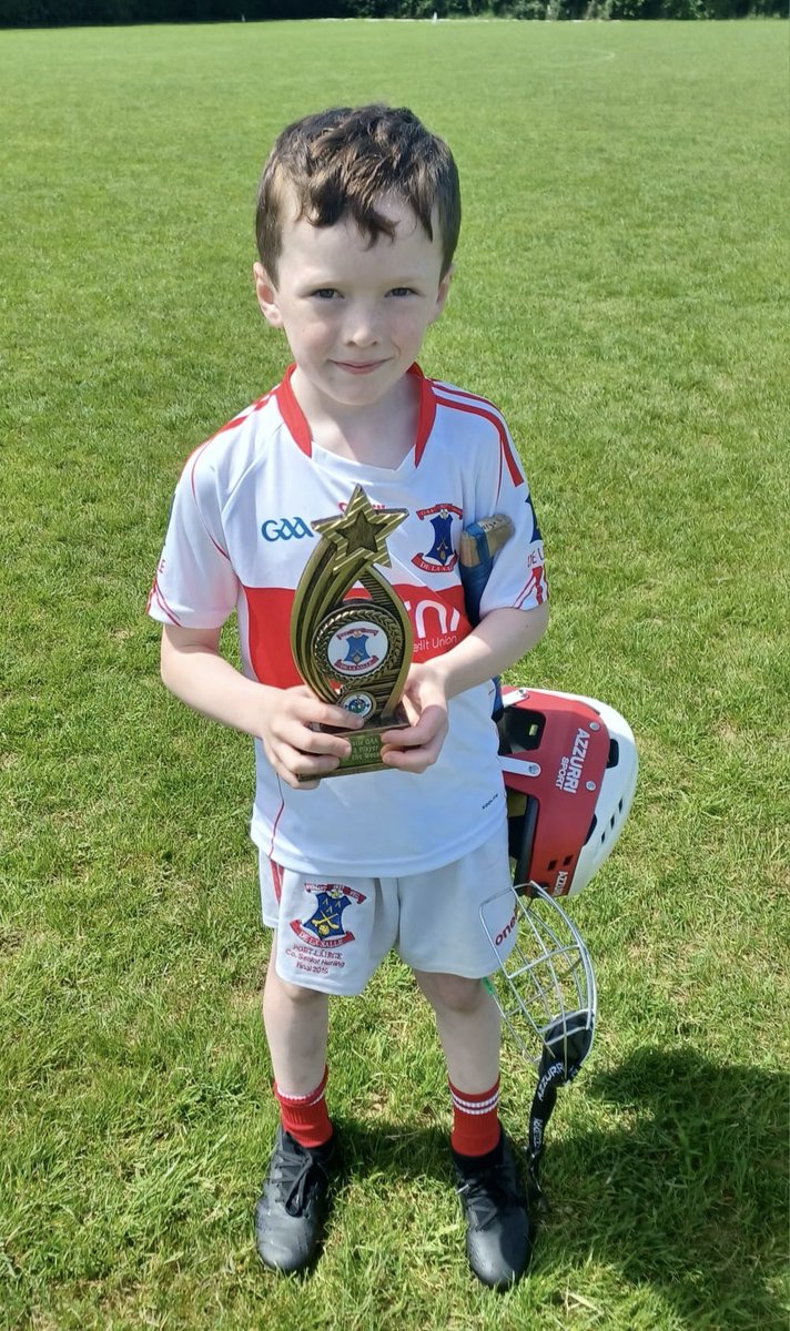 De La Salle GAA & Camogie Waterford tweet media