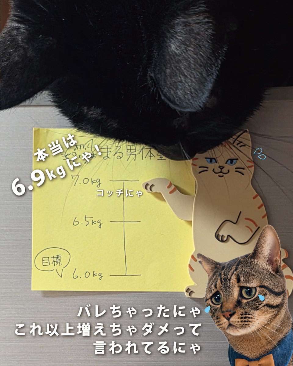 手が動く猫マグネット」は、冷蔵庫のメモ書きの「ある／ない」などを