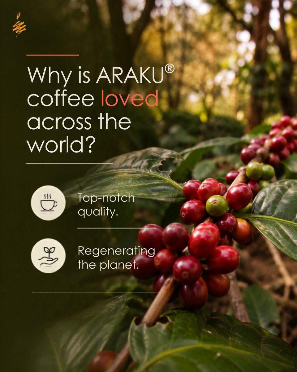naandi_india's tweet photo. The story of great coffee like ARAKU begins long before the cup. It begins in thriving forests, careful farming practices, and communities that grow in harmony with the land. Naandi works closely with coffee farmers from the Araku region focusing on every step that shapes exceptional produce: from organic regenerative agriculture and biodiversity protection to shade-grown cultivation and handpicking ripe cherries. Because when we care for the planet, the quality of produce becomes better too. Read more about how we do that here: https://t.co/M8rpZQHcwj 

#Arakunomics #ArakuCoffee #QualityProduce #SustainableFarming #RegenerativeAgriculture #TribalFarmers #SpecialtyCoffee #Biodiversity #EthicalCoffee #ForestGrownCoffee #SustainableLivelihoods #India