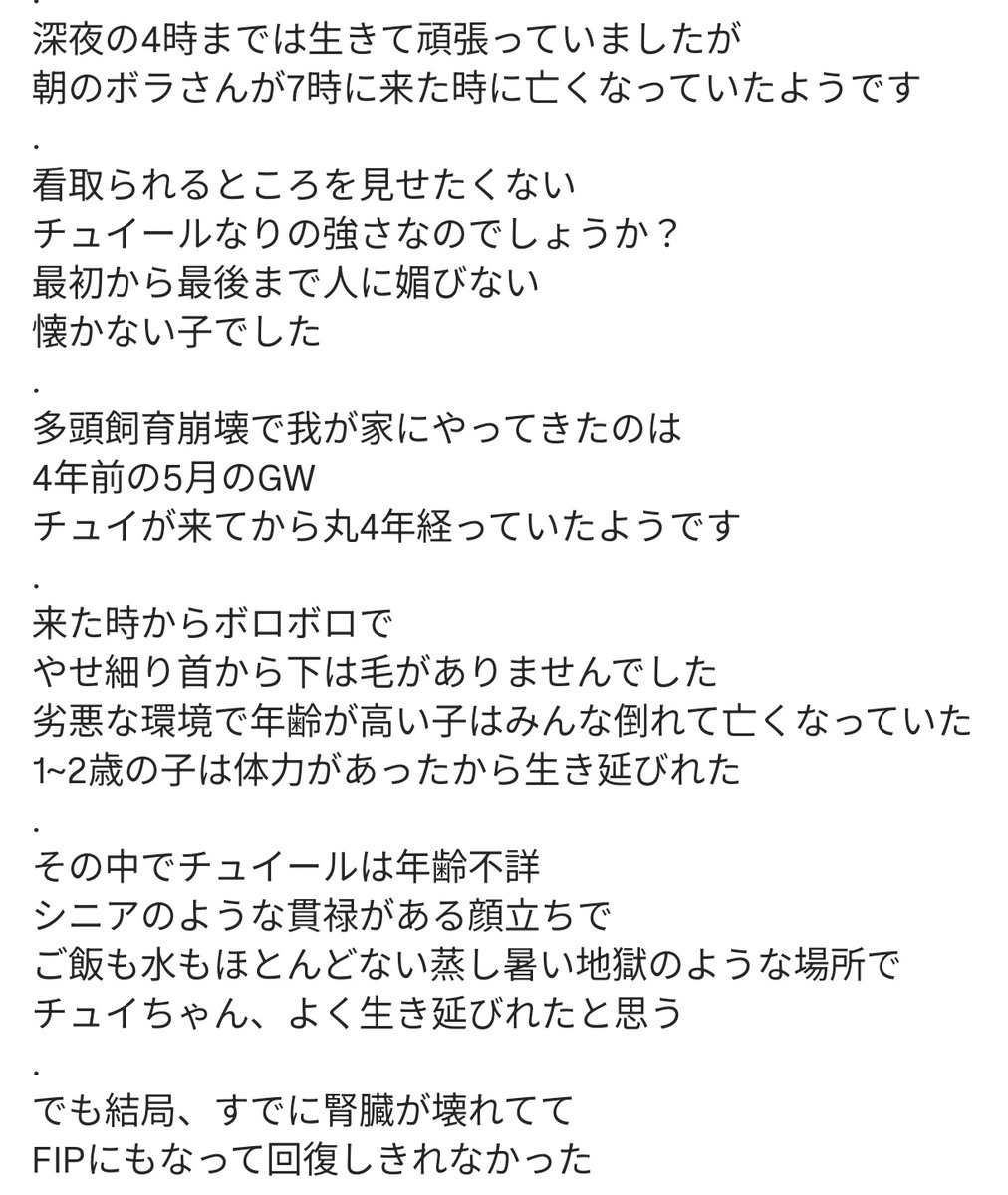 のらネコたすけ隊 tweet media