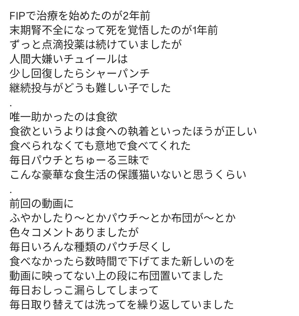 のらネコたすけ隊 tweet media