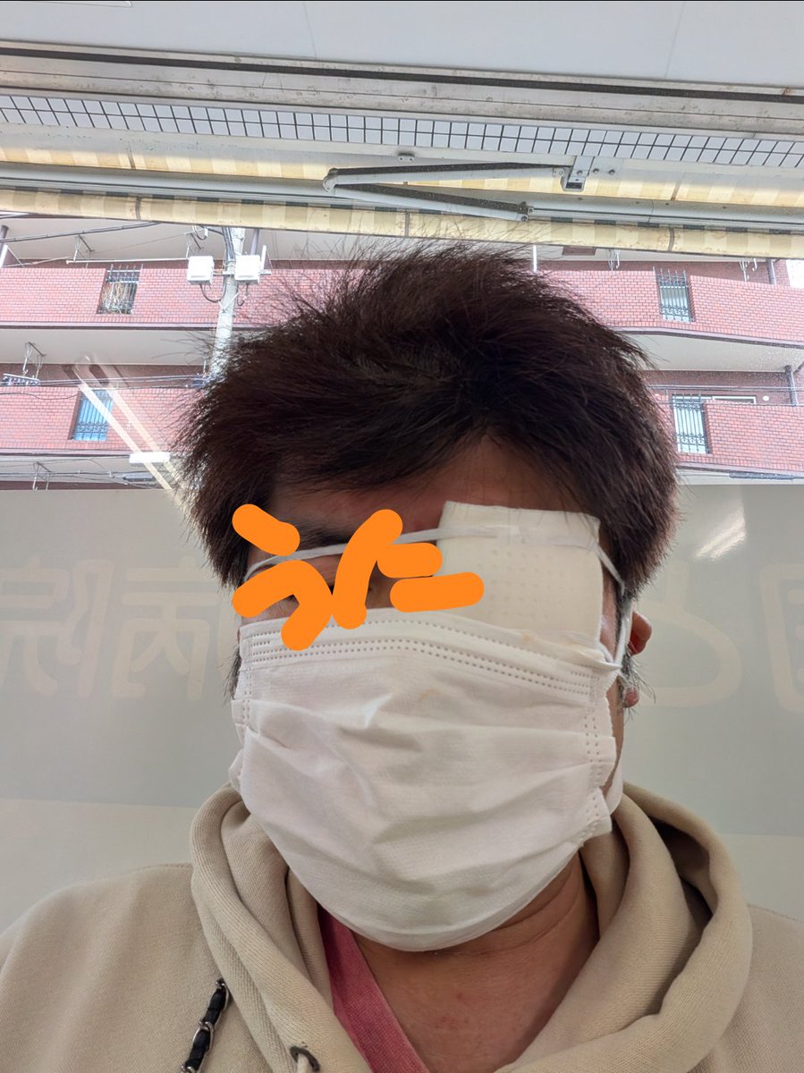 うにほたる tweet media