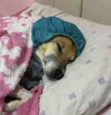 burndean's tweet photo. @UmBrenoLopes mds a diva serviu um estático perfeito https://t.co/tflMa2m4qS