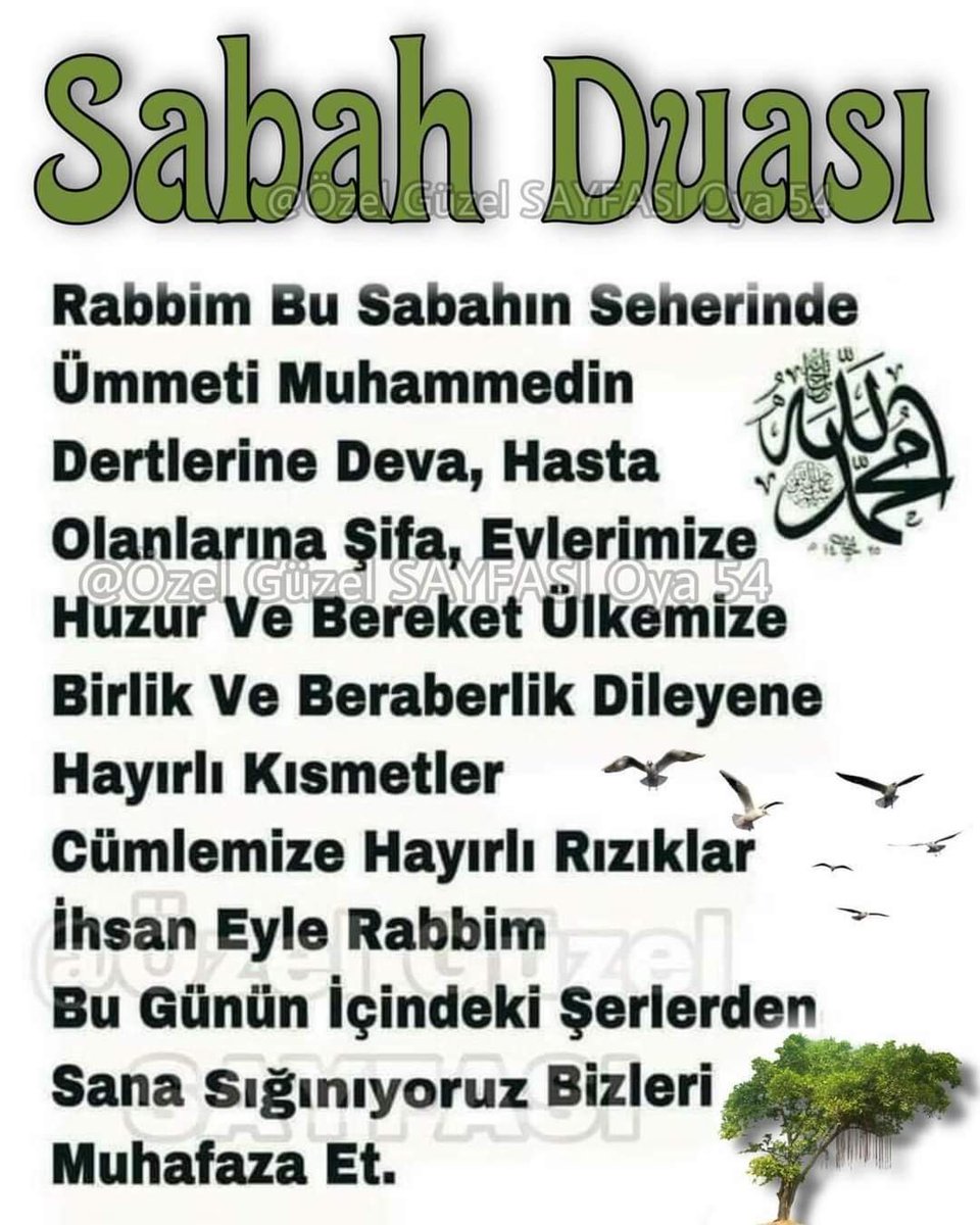 M2391907's tweet photo. Arefe Günümüz mübarek,  dualarımız kabul, herşey gönlünüzce olsun inşAllah selamlar.. https://t.co/tQmGuHYwK8