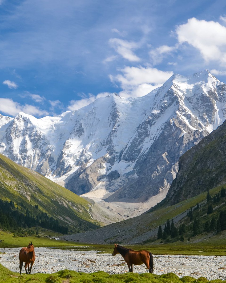 Travel Hiking View tweet media
