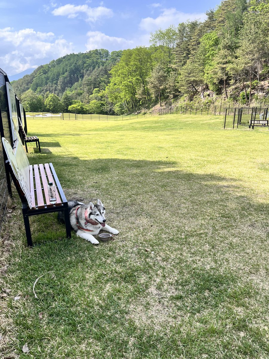 nonno0106's tweet photo. ランでランしなイーヌ🙅‍♀️ https://t.co/Kxr6poQ8Gk