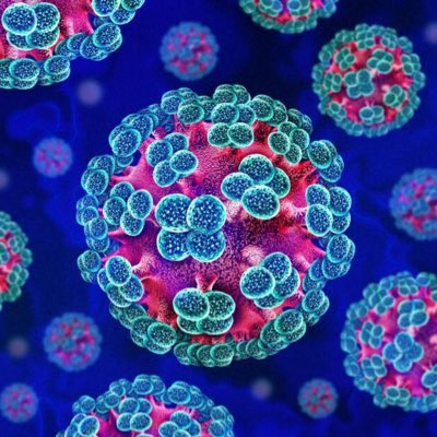 hantavirusol1's tweet photo. ⚠️ WARNING: HANTAVIRUS DETECTED ⚠️

The infection starts May 27, 2026

While everyone is chasing the next trend, a new virus is preparing to spread across the timeline. 🦠

$HANTA isn't asking for attention.
It's taking it.

#HANTAVIRUS #memecoin #solana #degen $sol #100x https://t.co/zmxjyAgEG6