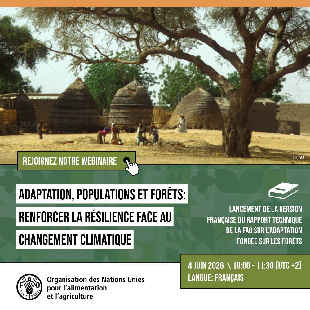UN-REDD Programme tweet media