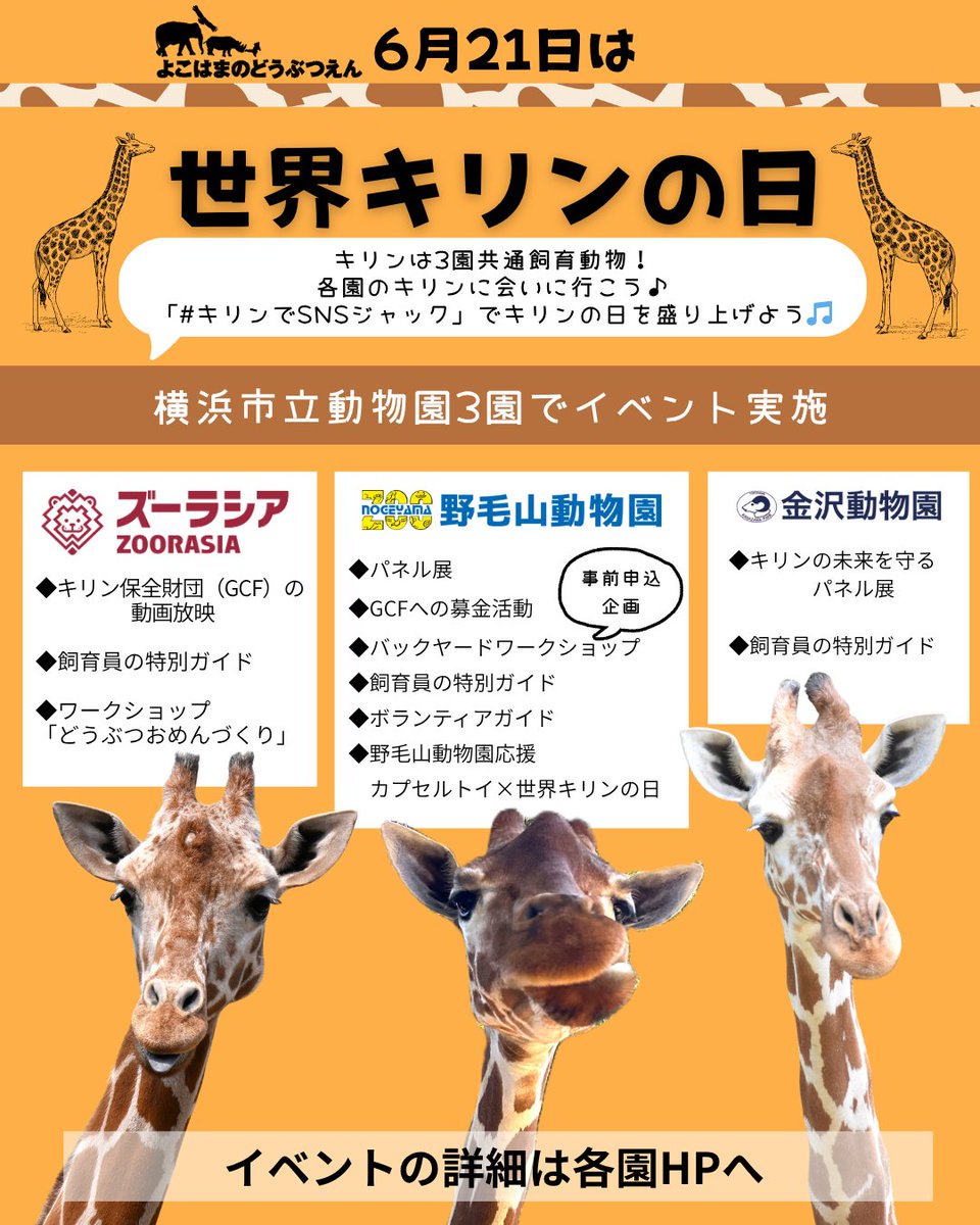 2011　コパアメリカ　キリン　サッカーキット　大型アイランド　未展示品 6月21日は「#WorldGiraffeDay（#世界キリンの日）」 キリン保全財団