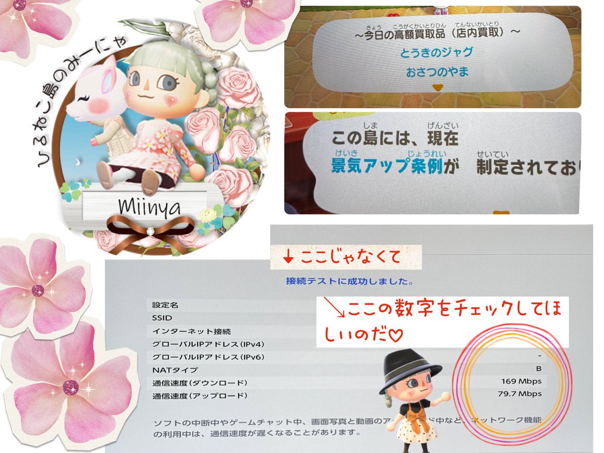 ひるねこ島のみーにゃ tweet media