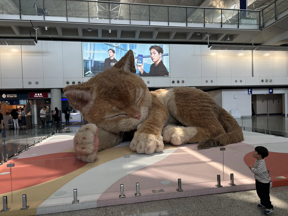 くぅこぅ様 香港国際空港に巨大な猫が！ #ドイツ旅行2026
