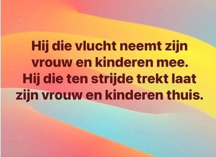 Dree tweet media