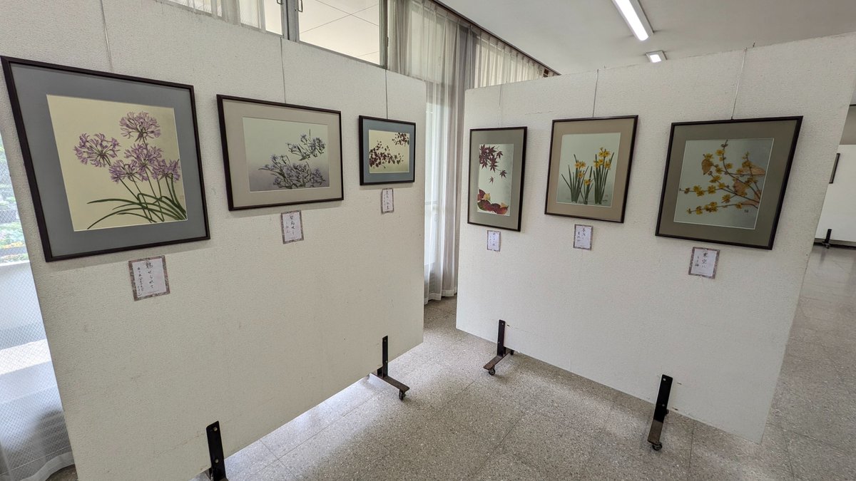 fcofuna's tweet photo. 本日より、展示場で「おしば美術展」が6月7日(日)まで開催されます。湘南おしば会による、自然そのままを生かしたアートを楽しむことができます。
是非お立ち寄りください。
#日比谷花壇大船フラワーセンター #植物園 #植物 #花 #神奈川県 #鎌倉 #大船 https://t.co/rGin683sJs