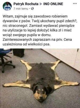 Eric 🇵🇱 tweet media