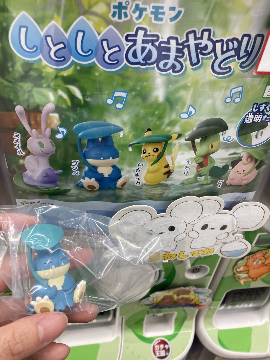 noteflat123's tweet photo. 【交換】ポケモン しとしとあまやどり ガチャ

【譲】ゴンベ
【求】キモリ

郵送📮希望です。
検索からでもお気軽にお声掛けください。
よろしくお願いします https://t.co/gQXI3YIxSc