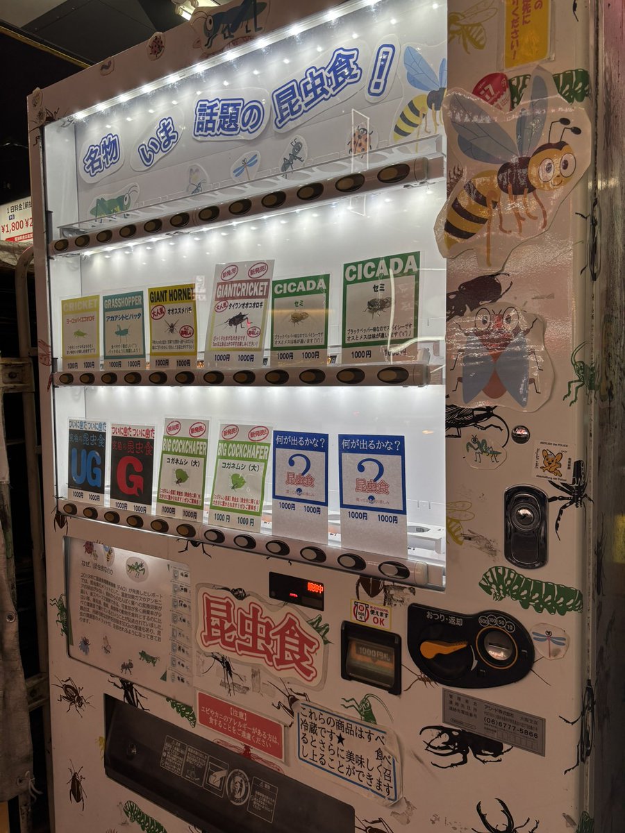 サメの子 tweet media