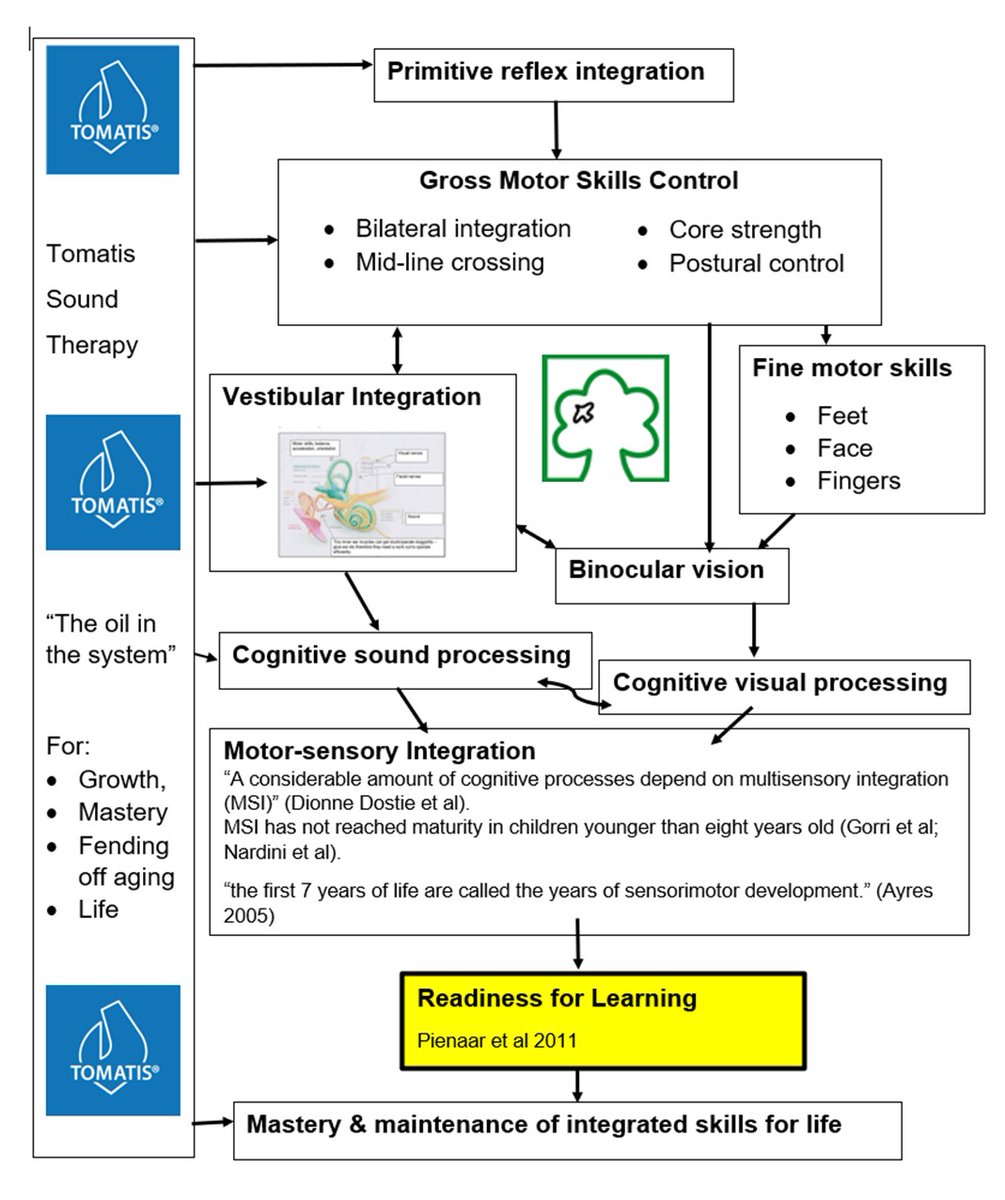 CharlotteEDavie's tweet photo. @SteveChalke We absolutely have to understand how children develop to become efficient calm learners and support that process. And go on supporting that process throughout life, so we can all maintain and master motor-sensory integration. As I mentioned 20 years ago back in Coulsdon! https://t.co/6REzbjQcr8