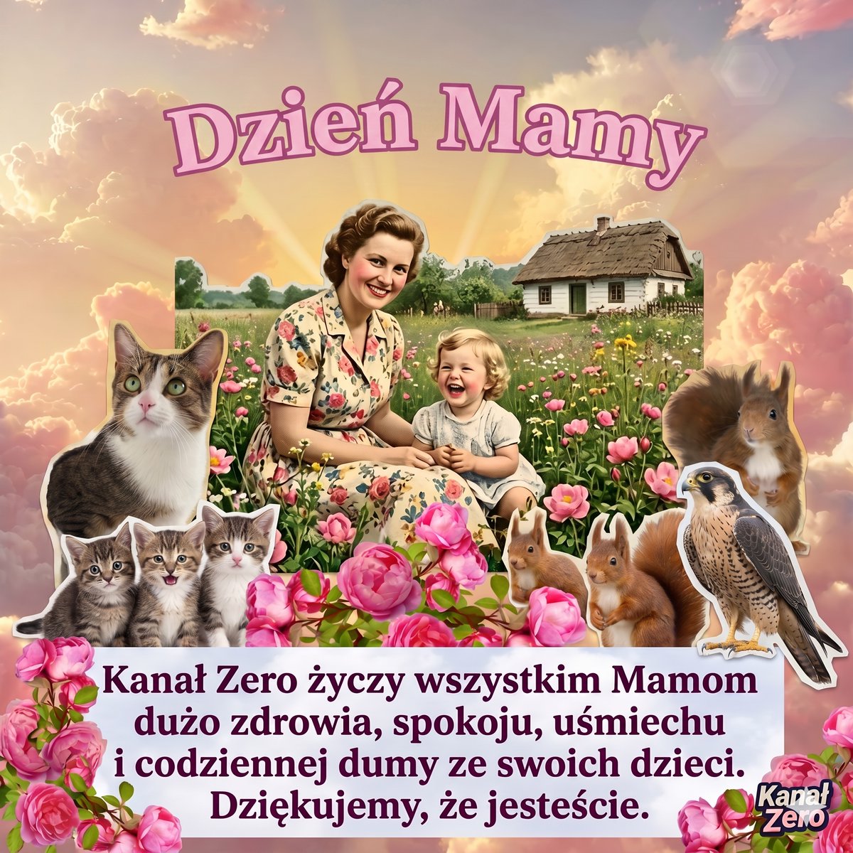 OficjalneZero tweet media