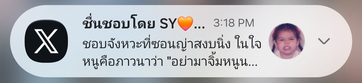 TJ🐨🐰 tweet media