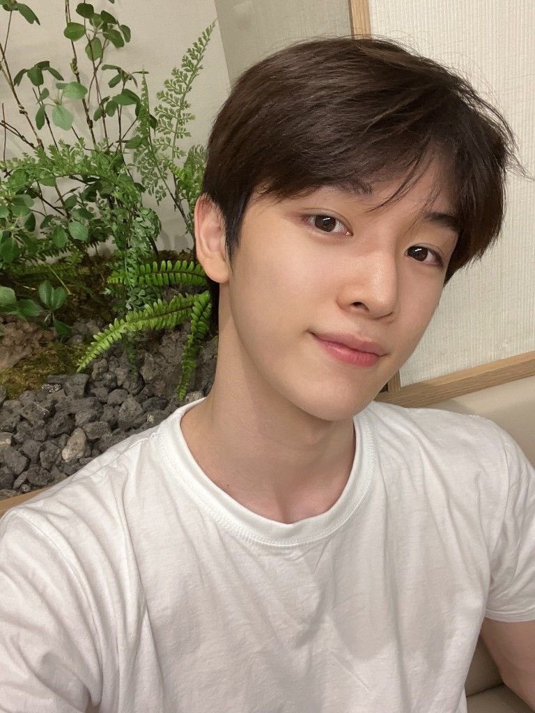 Sungchan tweet media