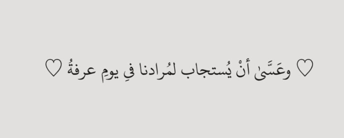 B˚₊· tweet media