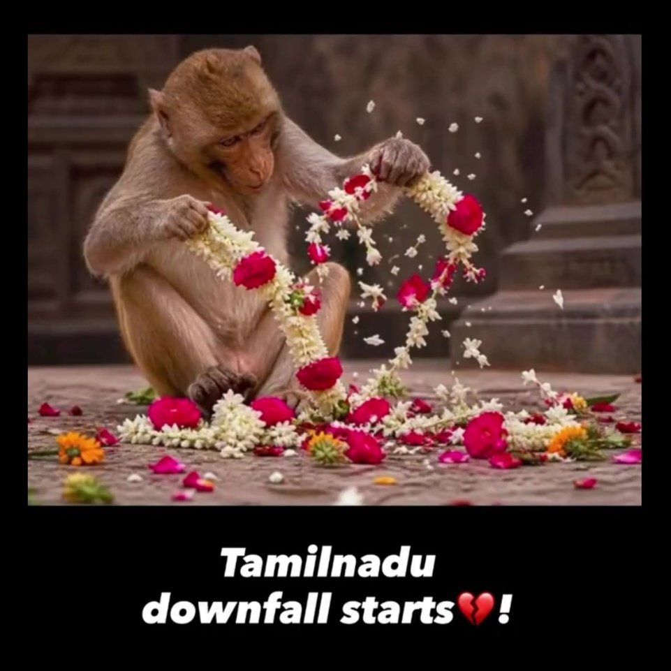 நிக்கோலோ மாக்கியவெல்லி tweet media