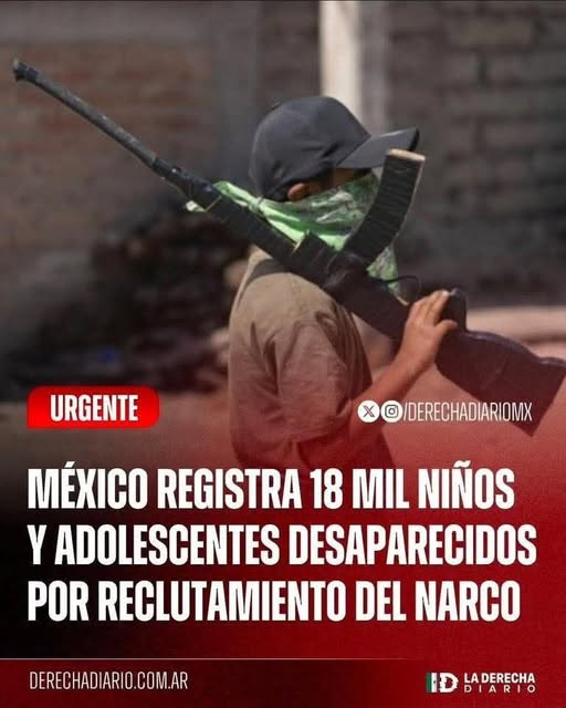 constanza luna tweet media