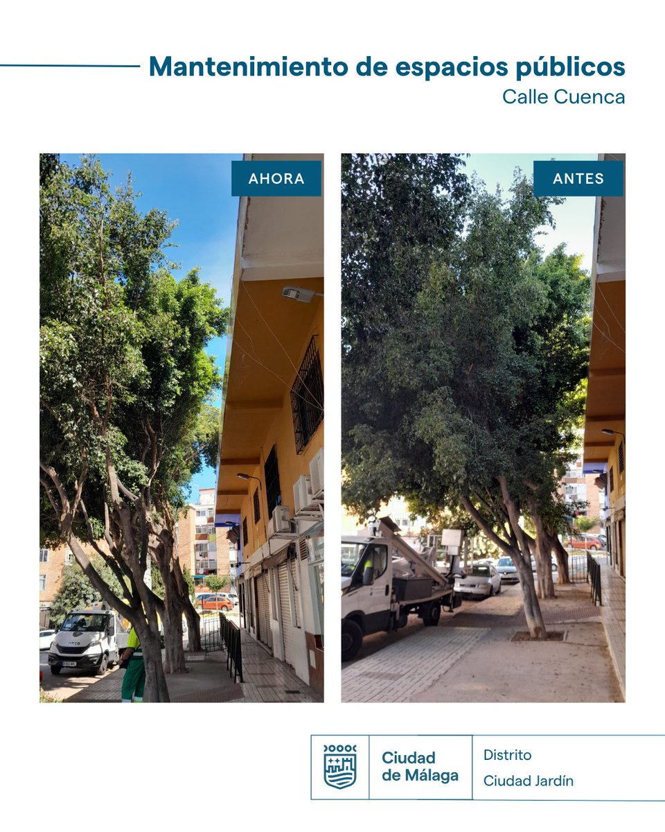 parquesmlg's tweet photo. Durante la semana pasada, @Distrito3malaga, se han realizado las siguientes actuaciones:
•⁠  ⁠Barrio Las Flores: poda de gálibo y fachada.
•⁠  ⁠Calle Cuenca: poda de gálibo y fachada.
•⁠  ⁠Calle Sánchez Albarrán: poda de ramas secas. https://t.co/tOf3sqo9rT