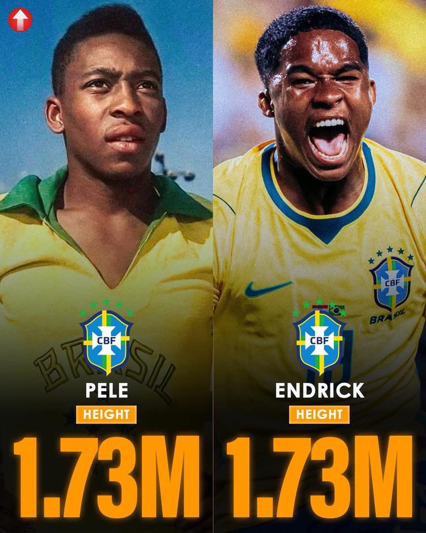 Idris 🧠🗣️ tweet media