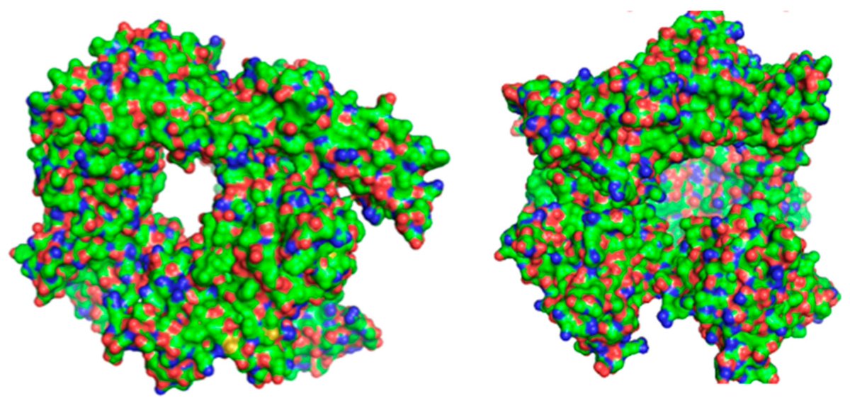 Germs_MDPI's tweet photo. New review on #norovirus: latest findings on #epidemiology, capsid biology, #hostinteractions, and replication—implications for #vaccines and #antivirals. 

Read here:👉 https://t.co/AXbcCotabm

#Virology #PublicHealth https://t.co/o1K9TzljVs