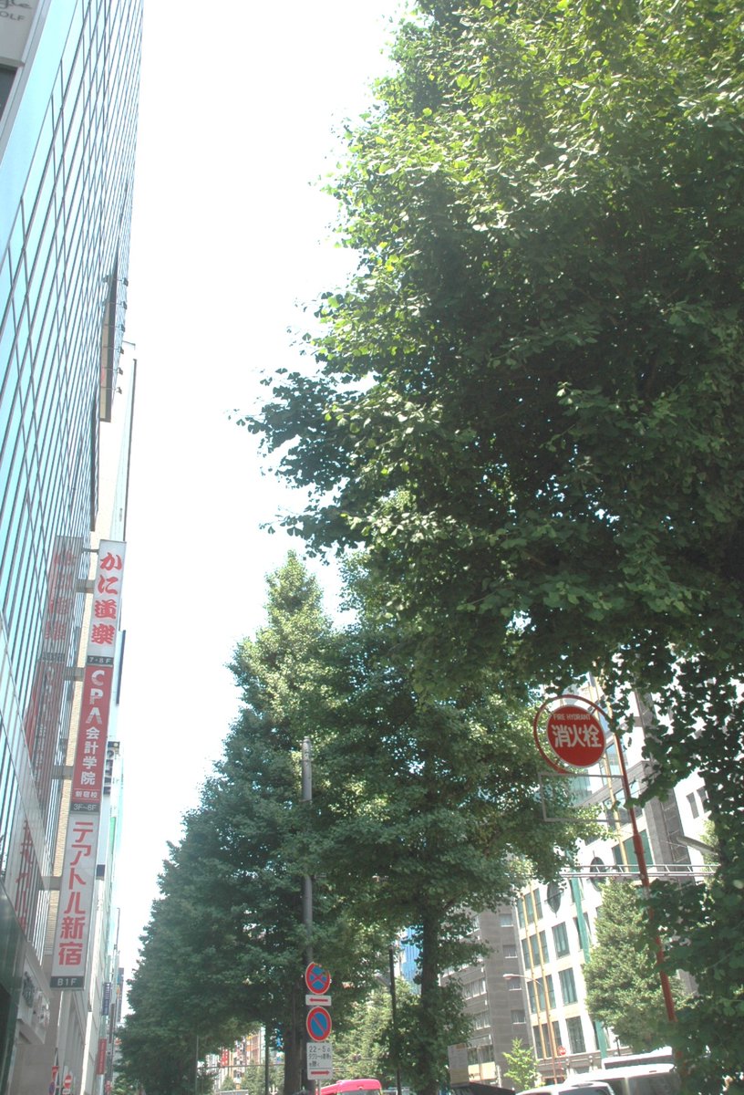 dkcamera2027's tweet photo. It has been getting hot recently😅💦
A early summer breeze is blowing in Shinjuku.

Camera #NIKON D70
Lens AF-S DX Nikkor 18-70mm f/3.5-4.5 G ED

#shinjyuku #snap #kabukicho https://t.co/iQAGfcIwWK