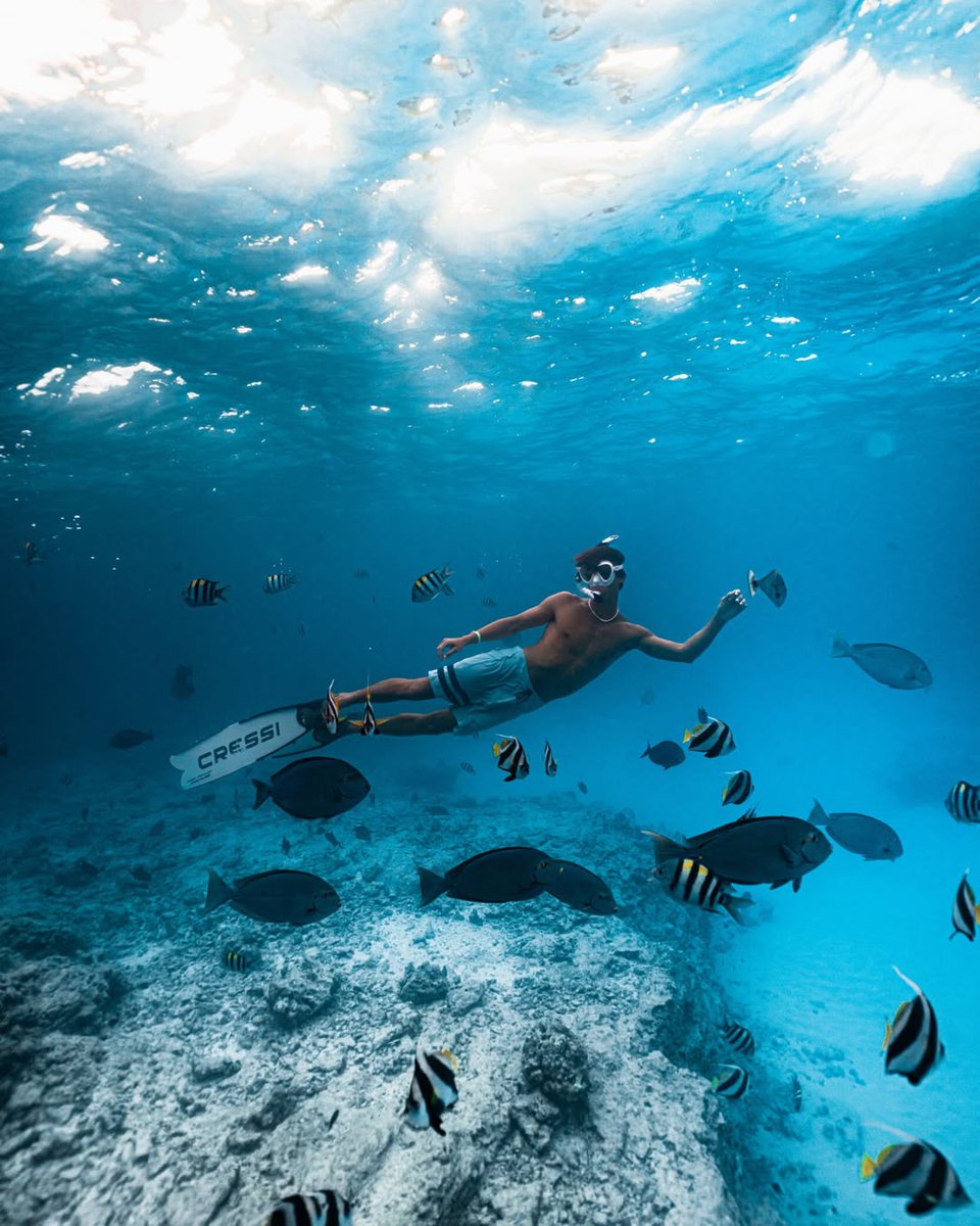 getawaysmv's tweet photo. Maldives Holidays | Packages | Reviews | Resorts | Visit https://t.co/ArjXIJdZ4O

Life at Villa Nautica is best lived out on the water 🛥️

📍: Villa Nautica, Maldives

#visitmaldivesgetaways #maldives #paradise #maldivesgetaways #exceptionalexperiences https://t.co/Z67jD9z9OQ