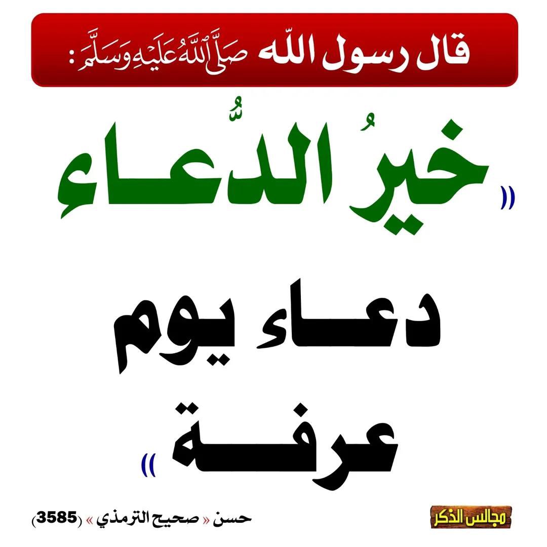 الإمام محمد ناصر الدين الألباني tweet media