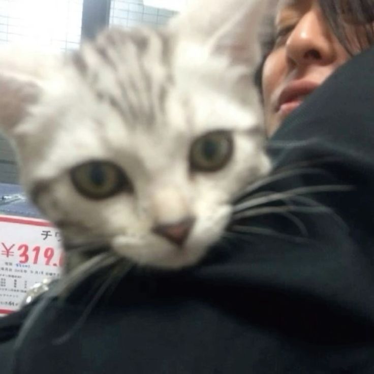 𖨆˚ ༘♡ ·˚꒰𝐑𝐨𝐝𝐫𝐢𝐠𝐨꒱ ₊˚ˑ༄𖨆 tweet media