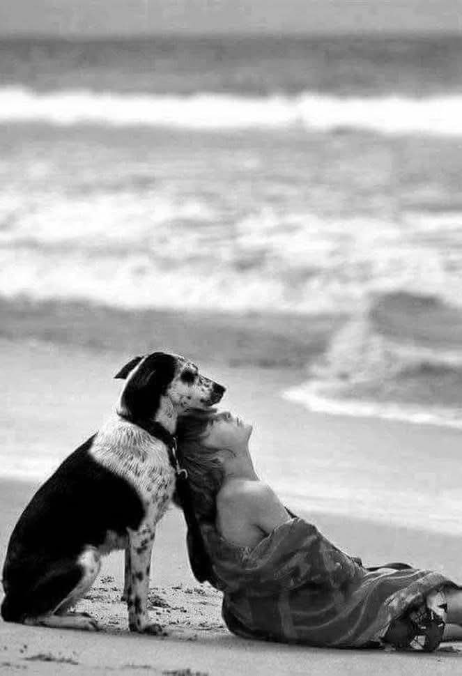 m77481070's tweet photo. “Bem lá no fundo você sabe que só existe uma única mágica, um único poder, uma única salvação, e que ela se chama amor.”

Hermann Hesse https://t.co/F8tKl85tt9