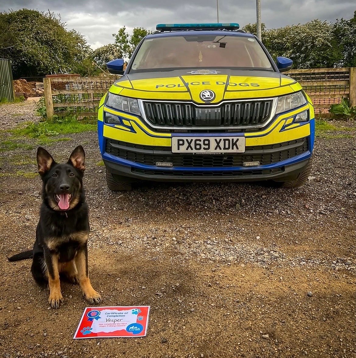 IomShepherds's tweet photo. TPD’s Vesper &amp; Oakley have passed puppy school 🥳 👏🏻 

Keep up the good work, everyone 🇬🇧 🇮🇲 🚓 https://t.co/f8zZlqq244