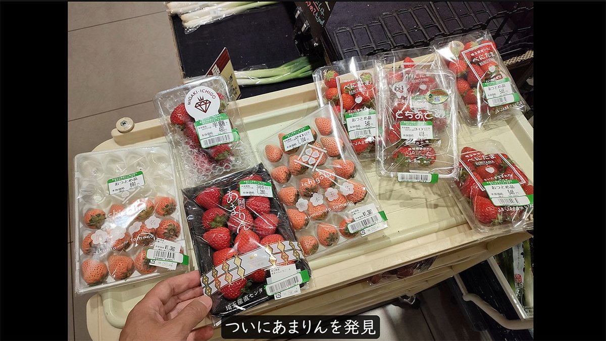 Chiguly's tweet photo. 🍓高級イチゴの「あまりん」を買うと高いので、実から種を採取して育てる事に。毎日お勤め品コーナーを巡ってついに手に入れ、長い事栽培した結果、なんと収穫したイチゴから【糖度16度】を叩き出すことに成功！酸味が少なくて強烈に甘い最高のイチゴが育ちました✨
https://t.co/W8gAp162dJ https://t.co/QY6cVu3PsS