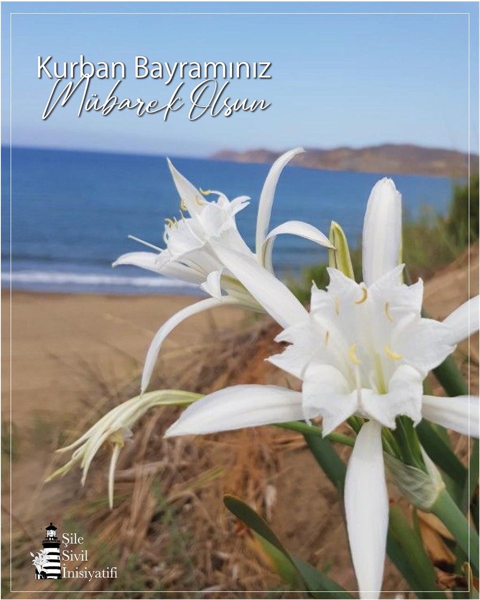 SileSivil's tweet photo. İyi Bayramlar 🌼
……………..

 #sile #agva #silesivilinisiyatifi #bayram #kurbanbayrami https://t.co/7TDIRvtQPX