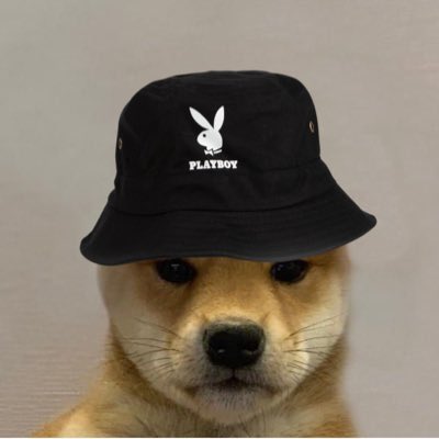 cryptoxoto33's tweet photo. #NewProfilePic https://t.co/IB7LhgBXEd