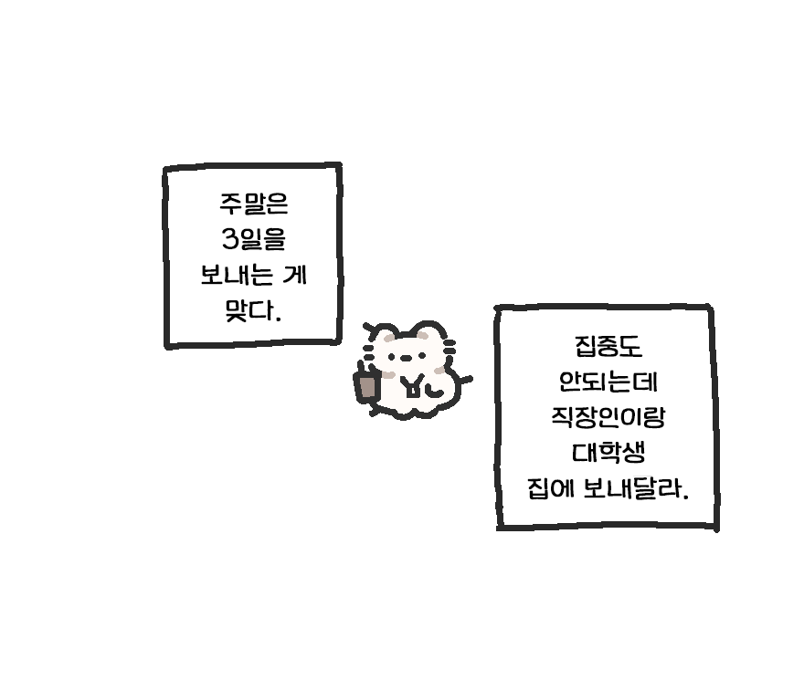 고냐 tweet media
