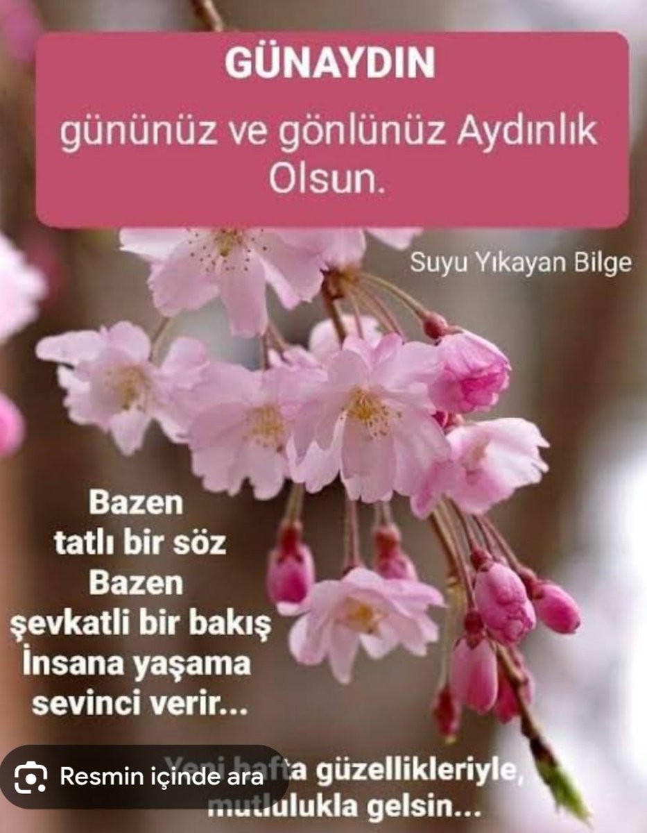 Wwembanyama's tweet photo. Günaydın hayırlı sabahlar Sevgili dostlarim 🌺
#günaydın #salı #ArefeGünü https://t.co/2oGnjSlKNV