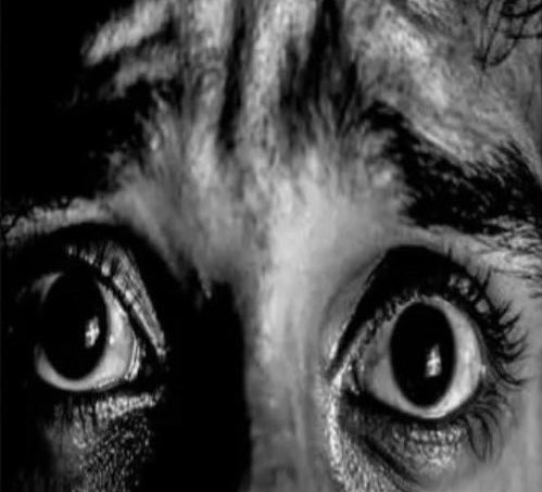 🦜『cefalorraquídeo』🩻 tweet media