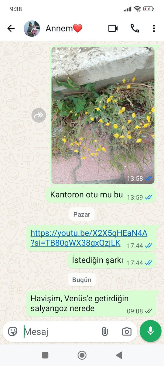 _EsrosTurker's tweet photo. Salyangoz nerede(çok önemli konularımız😁) https://t.co/oCItIXKCTq