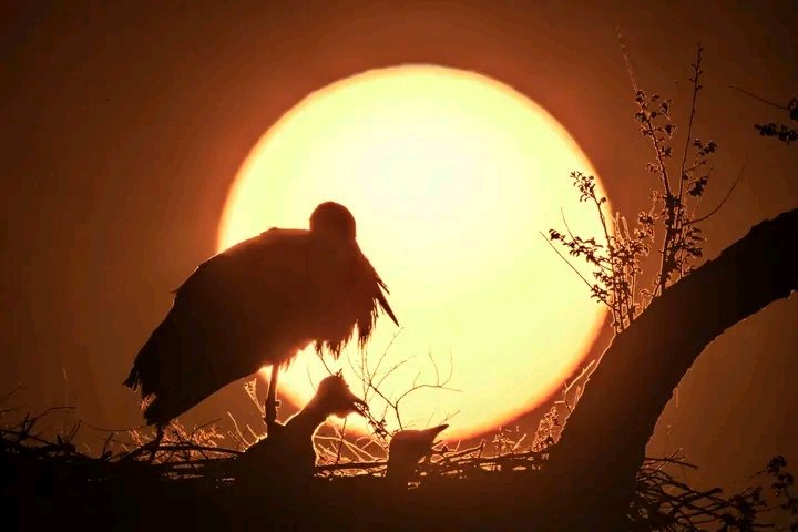 GratitudeJudith's tweet photo. I look to you Lord https://t.co/fSByhgp8Kv