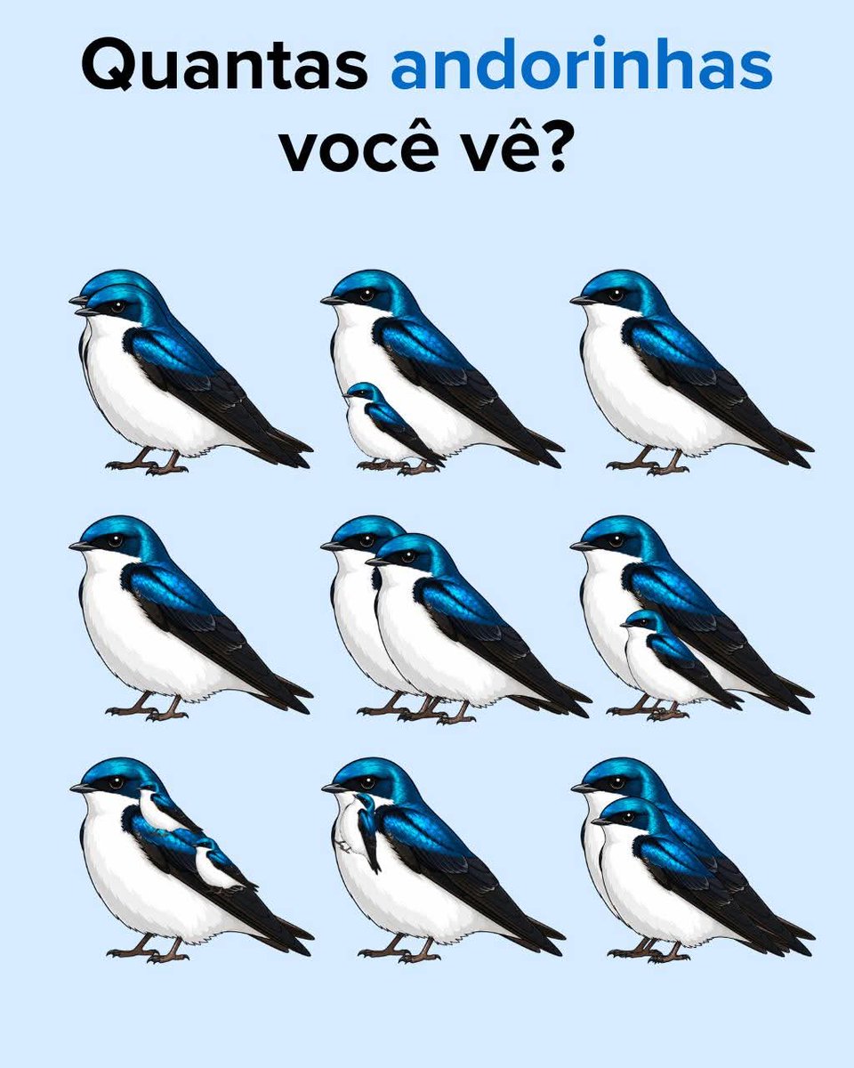Professora Tati tweet media