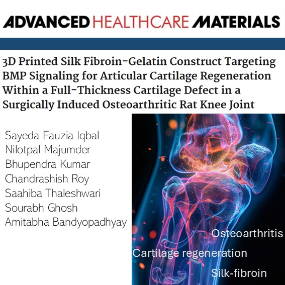 mfcem_iitk's tweet photo. A study by Prof. Bandyopadhyay &amp; team displaying design and fabrication of chemically modified silk-based biomaterial that enables regeneration and restoration of lost cartilage within osteoarthritic joints
https://t.co/Dct58ySu49
@MehtaFF @BSBEIITK1 @abandopa #biomedicalscience https://t.co/c4VW5w3yEk