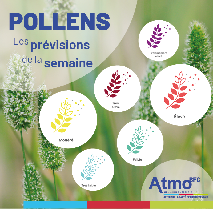 AtmoBFC's tweet photo. [🔴ALERTE AUX POLLENS DE GRAMINÉES🔴]
Les pollens de graminées restent présents avec la météo estivale. Le risque allergique demeure élevé cette semaine : éternuements, yeux irrités, toux ou gêne respiratoire. Les traitements préventifs restent recommandés. #Pollens #Allergies https://t.co/19hR0h9WXB