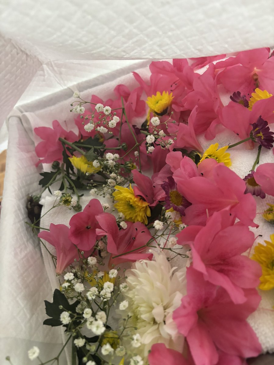 mrkmwkn's tweet photo. ぎりぎり降ってなかったのに、火葬始まったら降り出した、もっとちゃんとしてやればよかったな https://t.co/ncQQRRAzA1