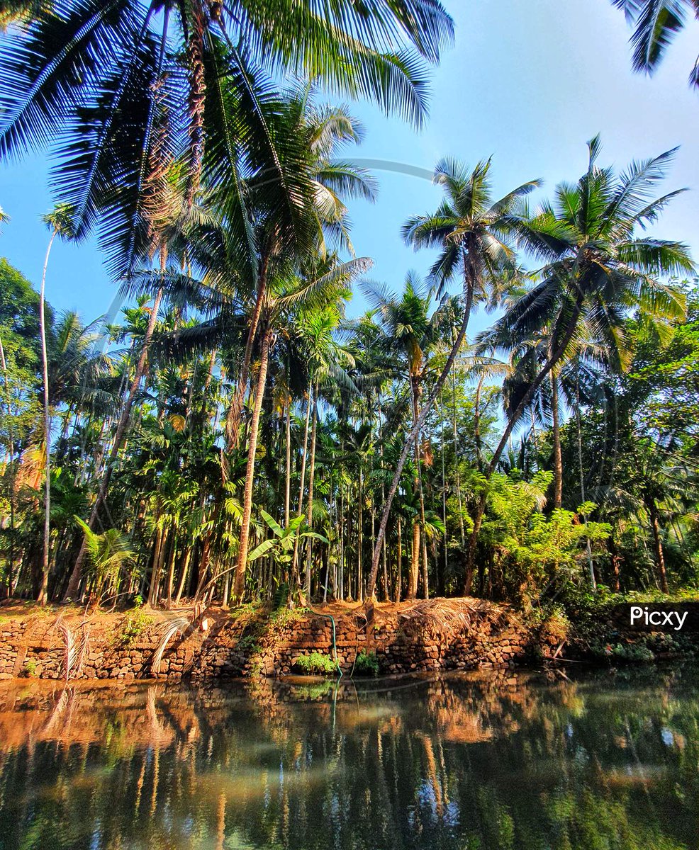 MenuShinde's tweet photo. Village vibes and monsoon skies 🌧️

#VillageVibes #NatureLovers #GreenParadise #MonsoonMagic #PeacefulPlaces #RuralBeauty #NaturePhotography #IncredibleIndia #TravelGram #ScenicView https://t.co/IEYWs6kDW6