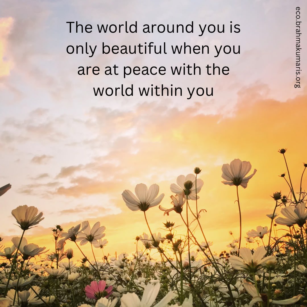 EcoBrahmaKumari's tweet photo. The world around you is only beautiful when you are at PEACE with the world within you. 

#MeaningfulMay🌿🌸
#ClimateWisdom

#ecobrahmakumaris #environment https://t.co/vEaPqXsNxf